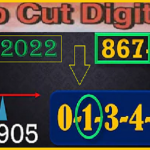 Thai lottery vip cut pass game formula final touch April 01, 2021