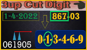 Thai lottery vip cut pass game formula final touch April 01, 2021