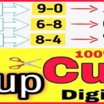 Thailand Lottery Result 100% Sure Tips Cut Digit pass 01-04-2022