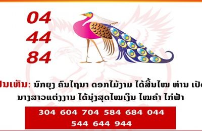Thai Lotto Tips hit total non miss 100% winning digit pair 01-06-2022