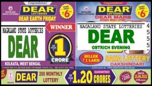 Nagaland Lottery Sambad Result Today