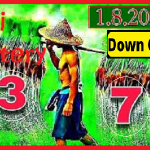 Thai Lottery Down Final Tips Single Digit Set Game Touch 01/08/22