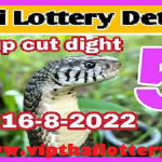 Thai Government lottery 3up Cut Digit Single Total Touch 16-8-2022