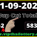 Thai Lottery Master Sure Tips 3up Cut Total Open 01-09-2022