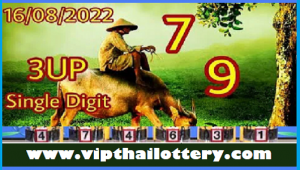 Thai Lotto Vip Charts Tips Cut pair Digit Calculation 16-8-2022 