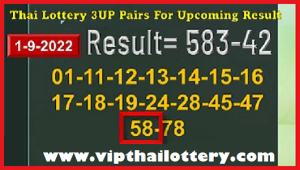 Thai Lotto Vip HTF Straight or Rumble Sets Coming Draw 1-9-2022