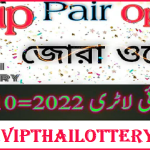 Thai Lottery Single Fourcast Final Pair Set 1st October 2022