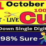 Thailand Lottery 98% Sure Down Single HTF Cut Digit 01/10/22