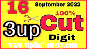 Thailand Lottery Cut Digit Vip Joker Tass Tips 01-09-2022