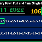 Thai Lottery Down Final Single Digit Pairs Game Update 16-11-2022