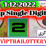 Thai Lottery Sure Down Single Hit Digit 1-12-2022