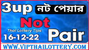 Thailand Lottery Number Direct Two Pair Formula 16.12.2022