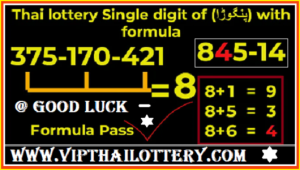 Thai Lottery Formula Pass Single Digit Pangorah 01 June 2566