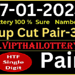 Thai Lottery 100% Sure Namber Cut Pair HTF Single Digit 17/01/23