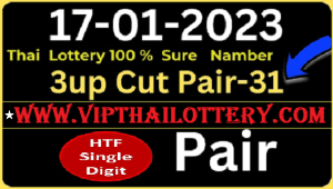 Thai Lottery 100% Sure Namber Cut Pair HTF Single Digit 17/01/23