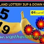 Thailand Lottery Today Down Cut Digit 1st February 2566