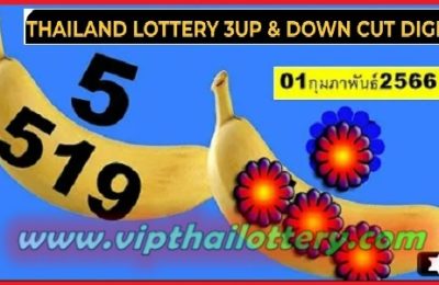 Thailand Lottery Today Down Cut Digit 1st February 2566