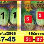 Thai Lottery Tod Pair Game 3d Winning Set 16th February 2566