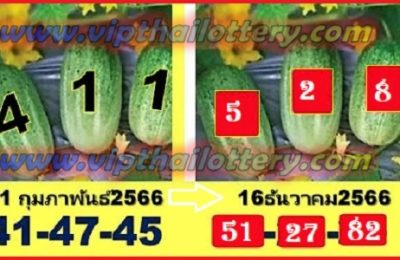 Thai Lottery Tod Pair Game 3d Winning Set 16th February 2566