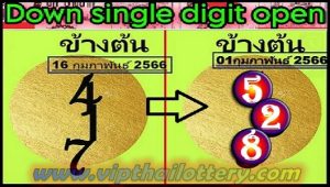 Thai Lotto 3 Digits Last Lucky Number One Set