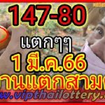 Thai Lotto Grandpa Broke Three Pieces 417 1st March 2023