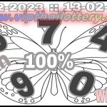 Thailand Lottery Final Cut Tips Hit Pair 100% Sure 16.02.2023