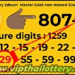 Thailand Lottery Master Gold Non-missed Single Direct Pair 1-2-23