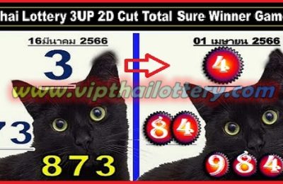 Thai Lottery 3UP 2D Cut Total Sure Winner Game 01-04-2023