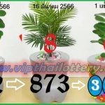 Thai Lottery Green Leaf 99.99% Final Non-Missed Totals 1.04.2023