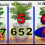 Thai lottery Final Single Forecast Routine PC