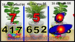 Thai lottery Final Single Forecast Routine PC