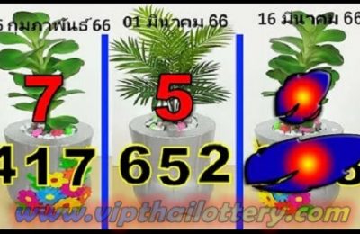 Thai lottery Final Single Forecast Routine PC