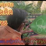 Thai Lotto Single Digit Touch Formula Today Update 16-03-2023