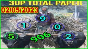 Thai Lotto 3D Cut Digit 100% Final Sure Number Tip 02 May 2023