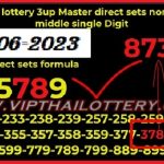 Thailand Lottery Master Direct Sets Non-Missed Single Digit