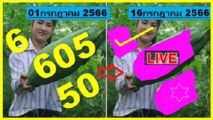 Thai Lotto Formula Forecast Single Digit Pangorah 16/07/2023