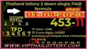 Thailand Lottery Sure Digits Down Single Pair 01-09-2023