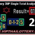 Thai Lottery Single Total Last Game Analysis 16 November 2024