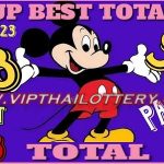 Thailand Lottery 3up Best Total Pass Result 01-08-2023