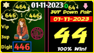 Thailand Lotto VIP Down Pair 100% Win Digit Final Set 1st November 2023