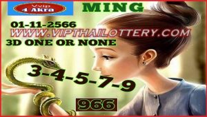 Thailand lottery Today Down Pair Set formula Vip Akra 01-11-2023