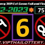 Thailand Lottery Cut Game Full and Final Update 30-12-2023