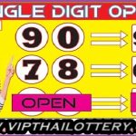 Thailand Lottery Single Digit Straight Rumble Cut Pair 16-12-2023