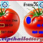 Thai Government Lottery 3D Tips 99.99% Sure Number 17.01.2024