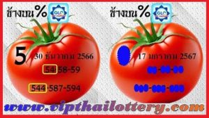 Thai Government Lottery 3D Tips 99.99% Sure Number 17.01.2024