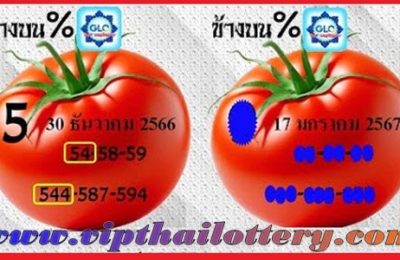 Thai Government Lottery 3D Tips 99.99% Sure Number 17.01.2024