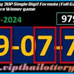 Thai Lottery Single Digit Sure Winner Game Update 01-02-2024