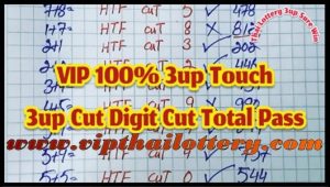 Thai Lottery Vip 1000% Cut Digit 3up Total Pass 01.11.2567