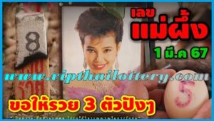 Thai Lottery 100% Win Tips 2 Set Down Number 01 March 67