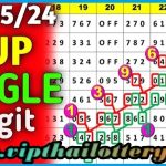 Thailand Lottery Direct Set 2 Down Single Pairs Result 02/5/2024